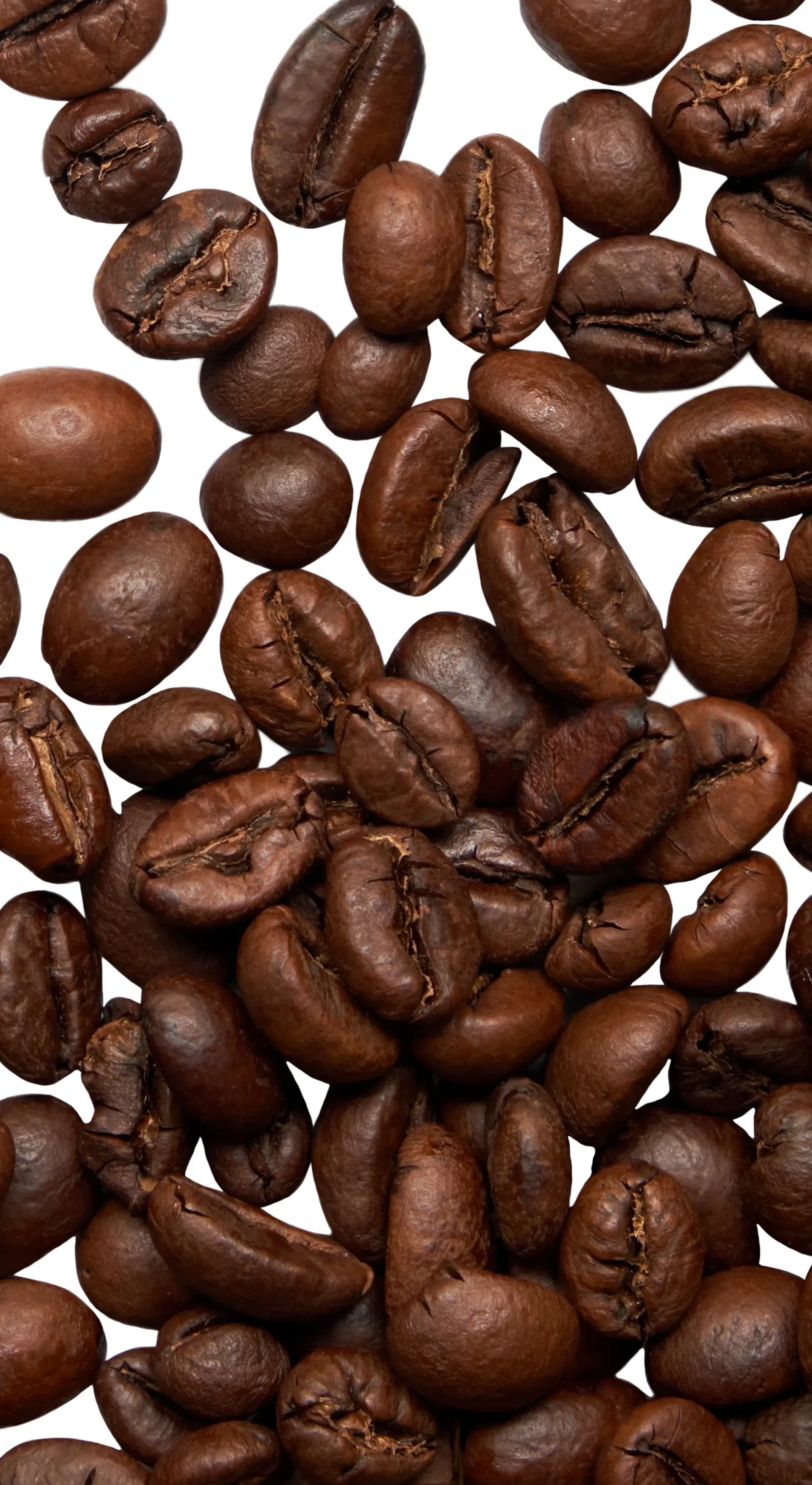 a photo of coffee beans scattered across a transparent background